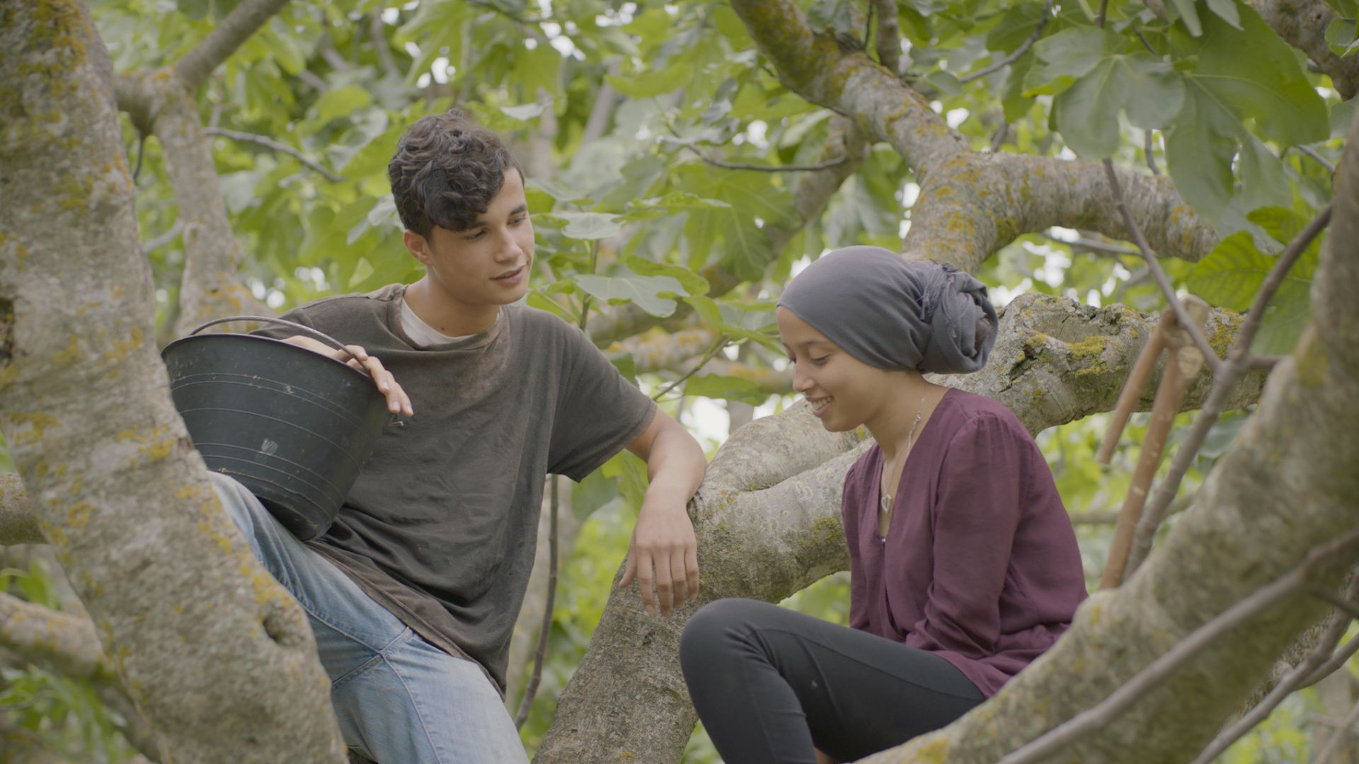 under-the-fig-trees-film-banner under-the-fig-trees-film-banner